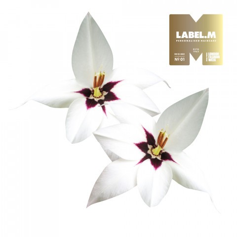 THÀNH PHẦN SẢN PHẨM